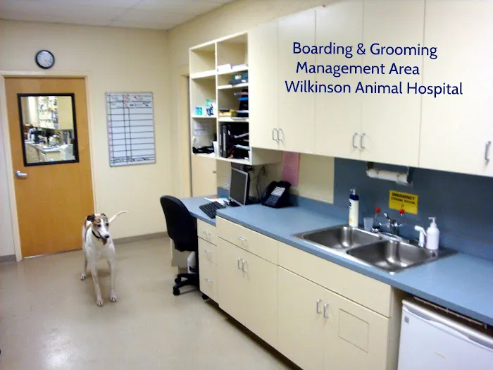 Wilkinson Animal Hospital Picture 9
