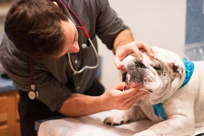 TotalBond Veterinary Hospital at Paw Creek Picture 8