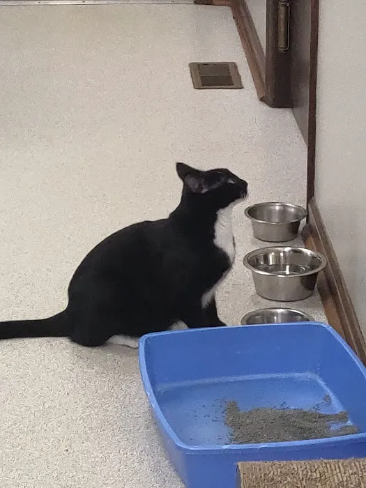 Gaston Veterinary Hospital & Carolina Cat Clinic Picture 3