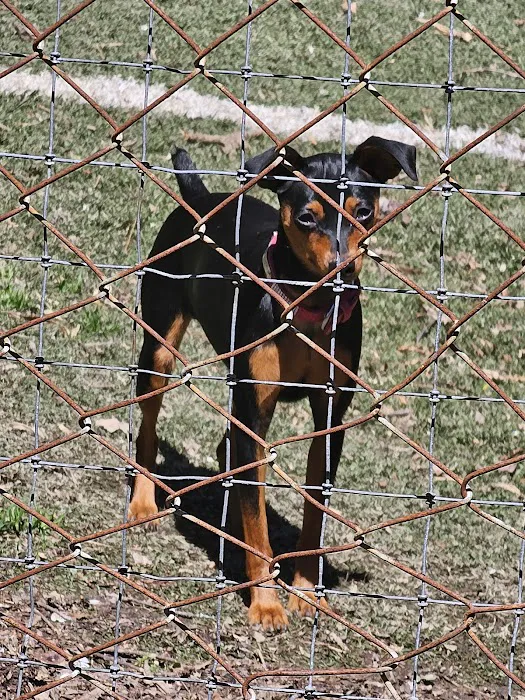 Gaston Low-Cost Spay/Neuter Clinic Picture 6