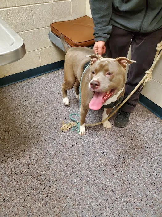 Phillips Animal Medical Hospital Picture 7