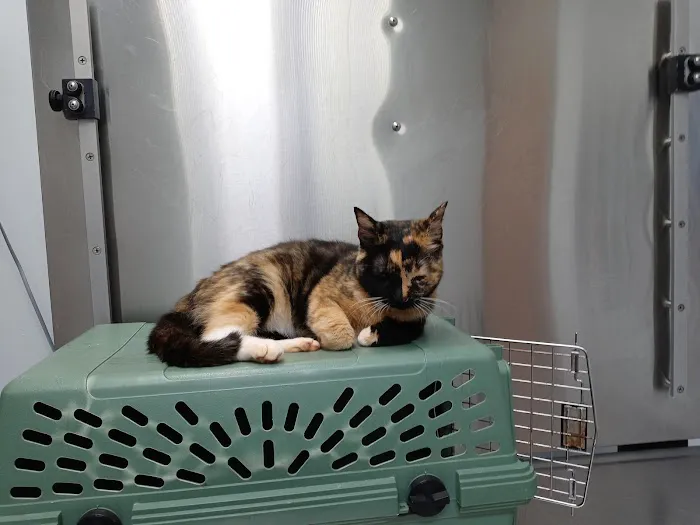 The Pet Hospital Picture 7