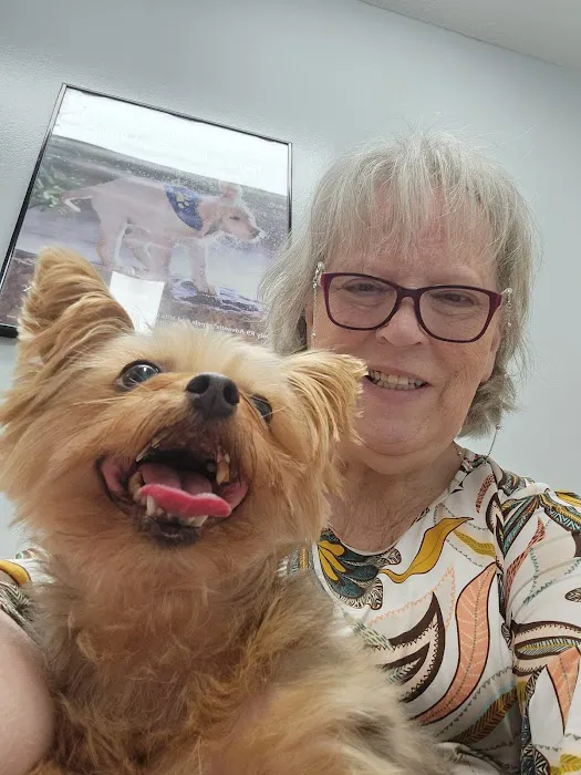 The Pet Hospital Picture 2