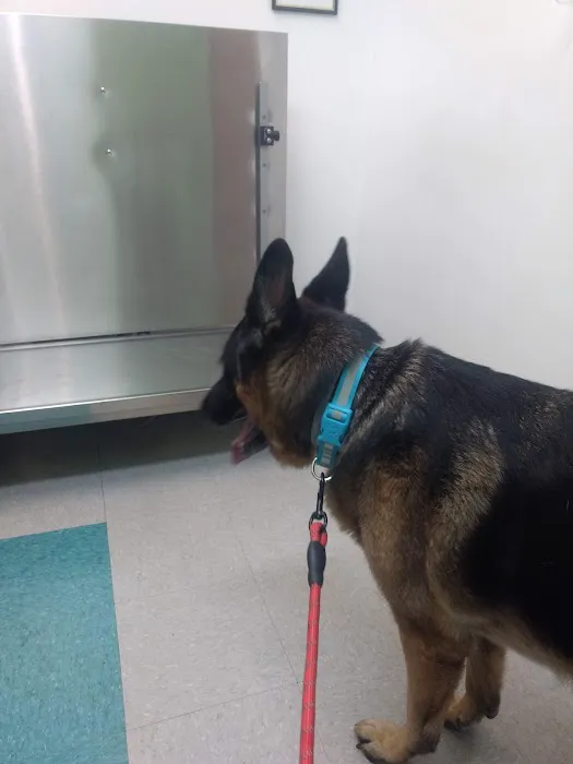 The Pet Hospital Picture 5