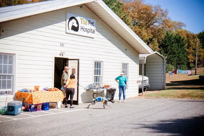 The Pet Hospital Picture 8