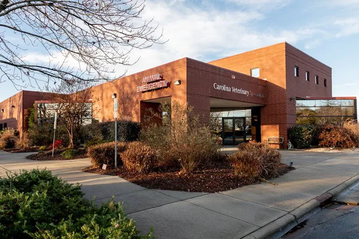 Carolina Veterinary Specialists Huntersville Picture 3