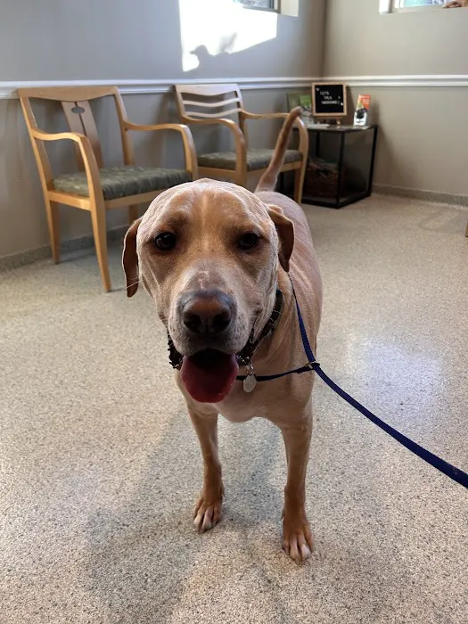 Hambright Animal Hospital Picture 7
