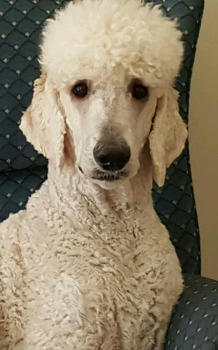 Hambright Animal Hospital Picture 5