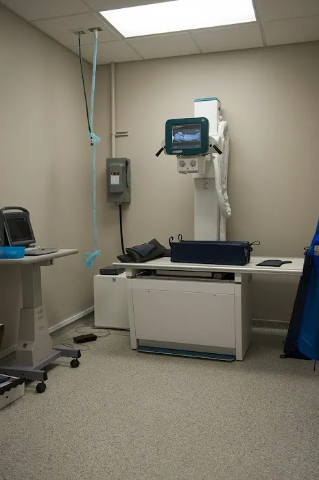 Dr. Marguerite Gleason, DVM Picture 2