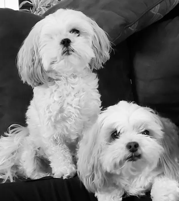 Banfield Pet Hospital Picture 3