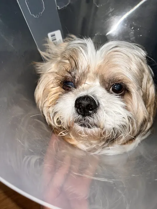 Banfield Pet Hospital Picture 8