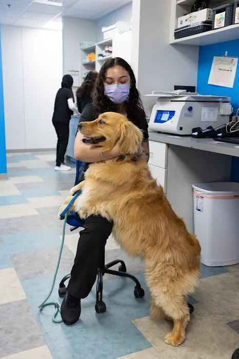 Harrisburg Animal Hospital Picture 9