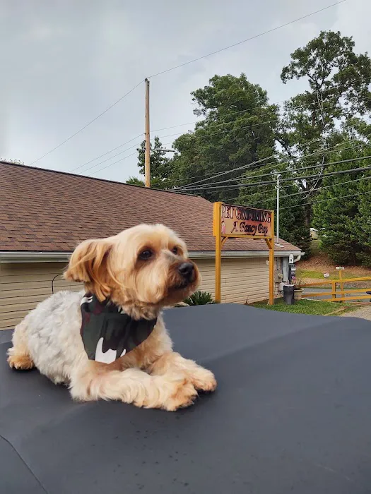 Harrisburg Animal Hospital Picture 2
