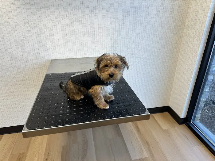 Harrisburg Animal Hospital Picture 7