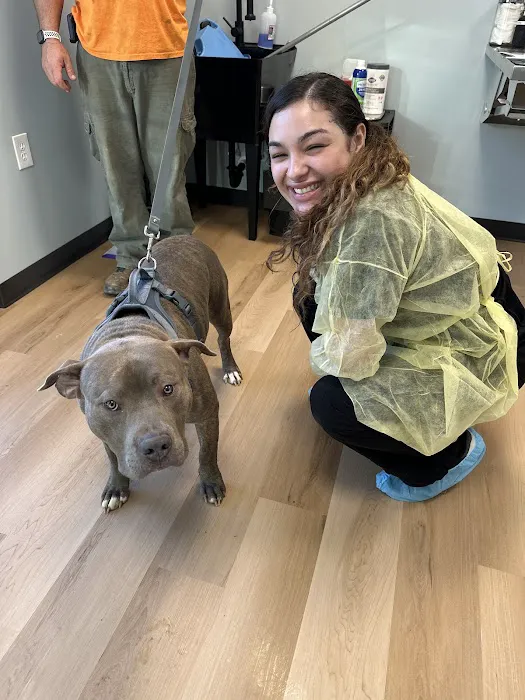 Harrisburg Animal Hospital Picture 1