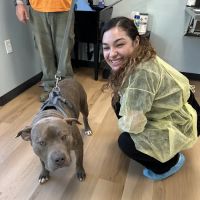 Harrisburg Animal Hospital ico