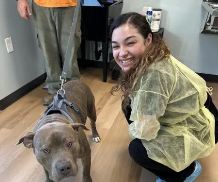 Harrisburg Animal Hospital