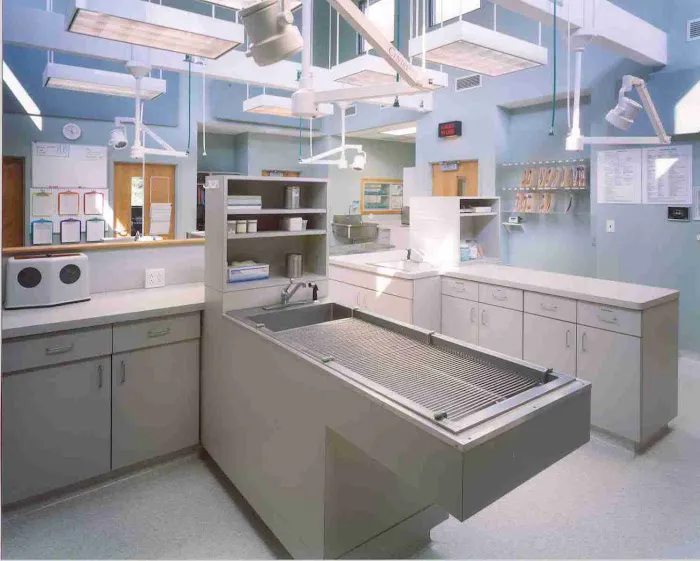 VCA Stoney Creek Animal Hospital Picture 3