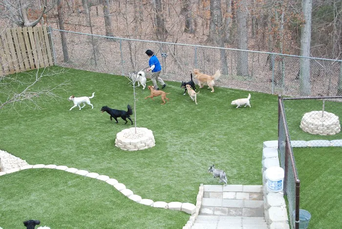 VCA Stoney Creek Animal Hospital Picture 8