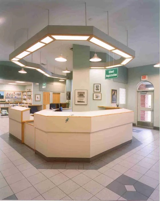 VCA Stoney Creek Animal Hospital Picture 7