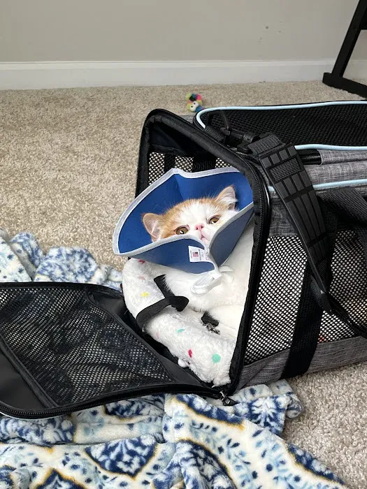 Highlands Pet Hospital Picture 8