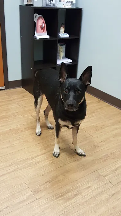 Highlands Pet Hospital Picture 6