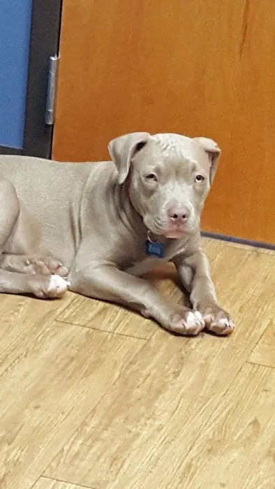 Highlands Pet Hospital Picture 2