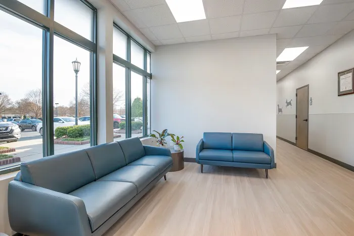 Livewell Animal Hospital of Huntersville Picture 5
