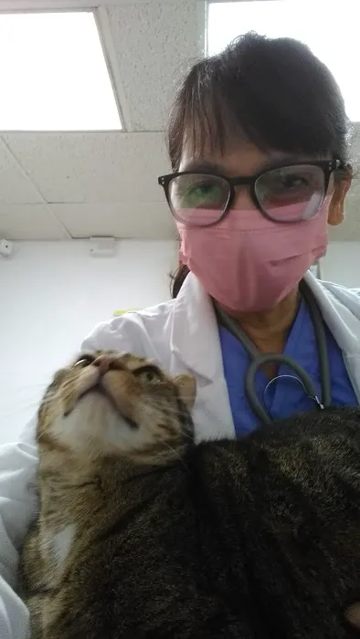 FREINDLY NEIGHBORHOOD VET Picture 1