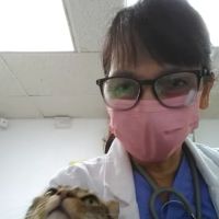 FREINDLY NEIGHBORHOOD VET ico
