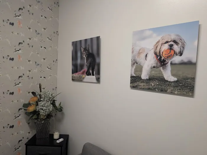 Thrive Pet Healthcare - Mallard Creek Picture 8