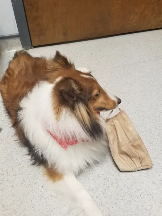 Hight Veterinary Hospital Picture 6