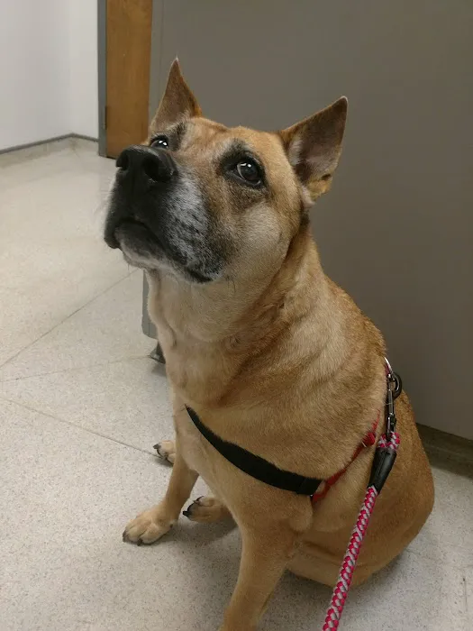 Hight Veterinary Hospital Picture 3