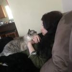Banfield Pet Hospital