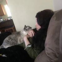 Banfield Pet Hospital ico
