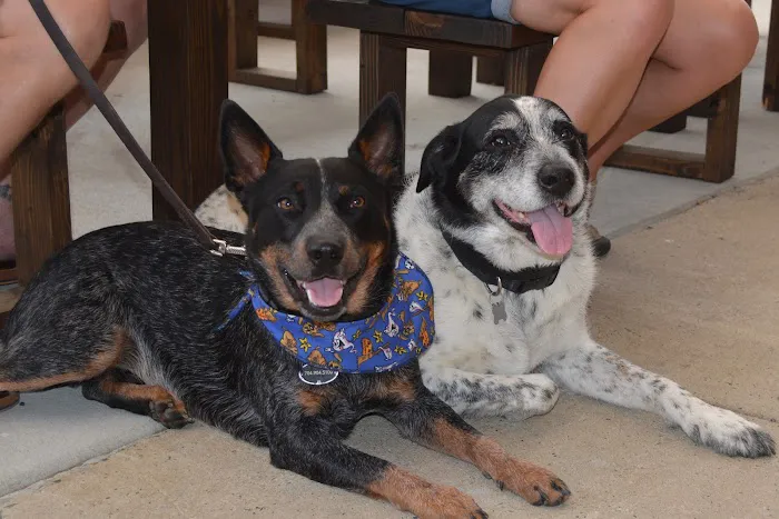 Mallard Creek Animal Hospital Picture 1
