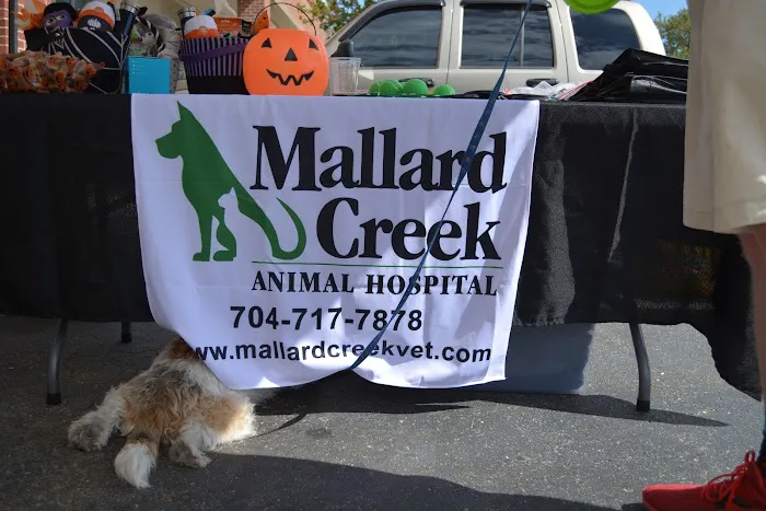 Mallard Creek Animal Hospital Picture 4