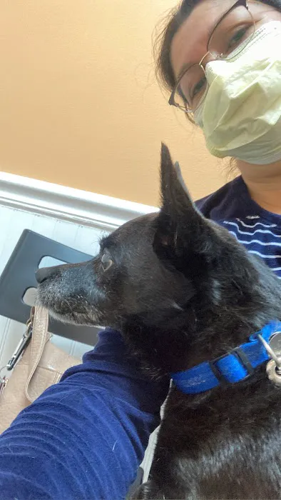 Mallard Creek Animal Hospital: Johnson Rebecca DVM Picture 1