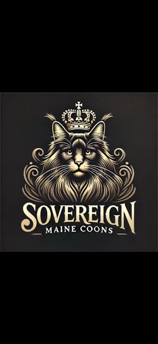 Sovereign Maine Coons Picture 3