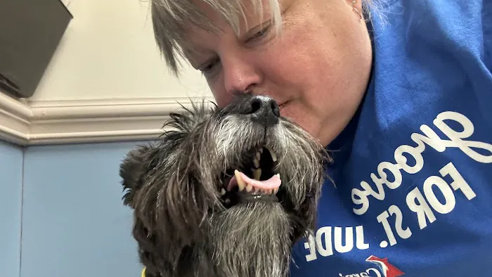 Mint Hill Animal Hospital Picture 4