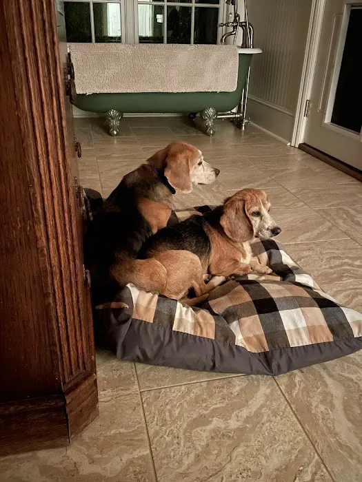 Mint Hill Animal Hospital Picture 6