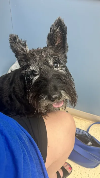 Mint Hill Animal Hospital Picture 3