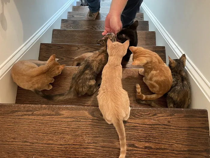 Mint Hill Animal Hospital Picture 8