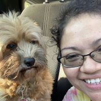 Mint Hill Animal Hospital ico