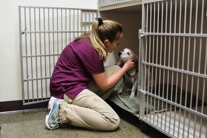Caring Hearts Animal Hospital Picture 1