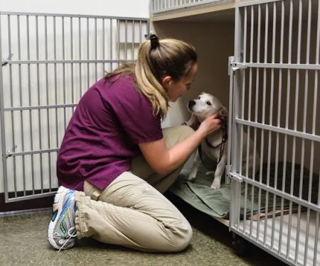 Caring Hearts Animal Hospital