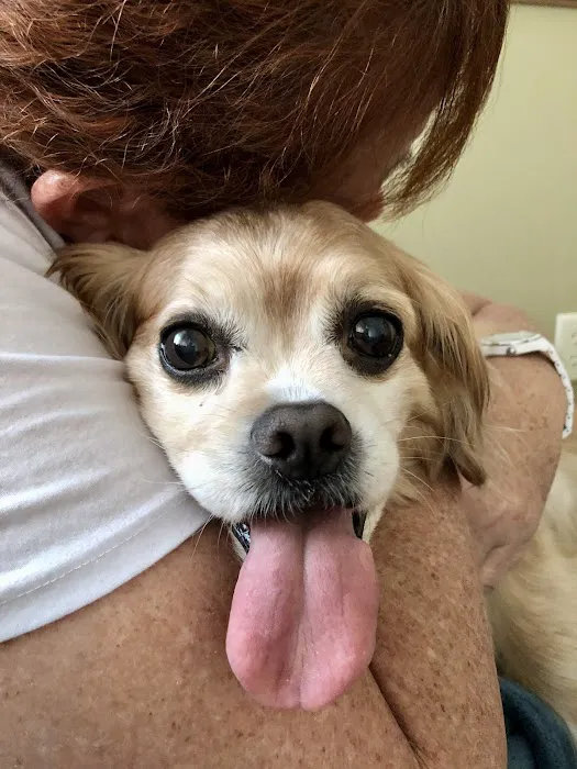 Caring Hearts Animal Hospital Picture 2