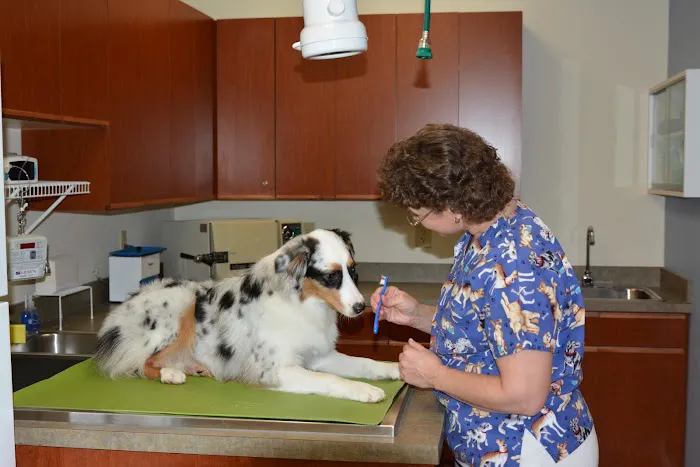 Caring Hearts Animal Hospital Picture 10
