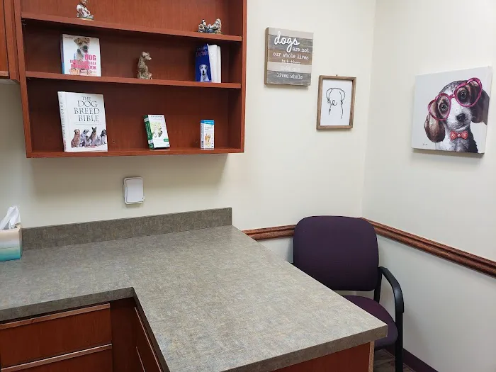 Caring Hearts Animal Hospital Picture 8