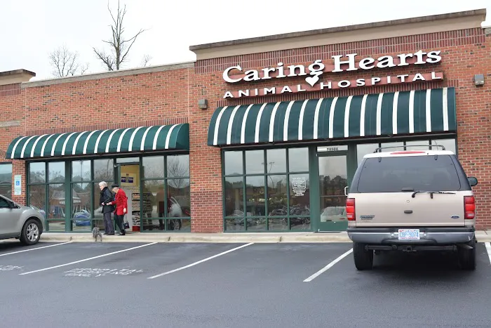 Caring Hearts Animal Hospital Picture 4
